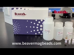 BeaverBeads Stool RNA Kit استخراج الحمض النووي استقرار ممتاز