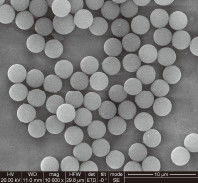 جودة  1μm 10 mg / mL 50 mL Carboxylated Magnetic Beads For Immunodiagnosis مصنع