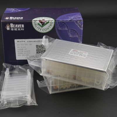 جودة  Viral DNA RNA Kit Nucleic Acid Extraction Kits Prefilled Plates 32 Reactions U Bottom مصنع