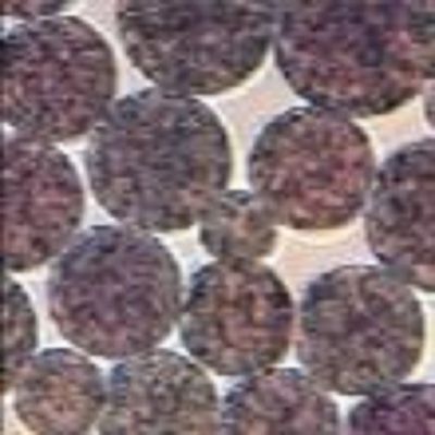 جودة  5 mL NHS Activated Magnetic Beads Preactivated N - Hydroxy Succinimide Nanoparticle مصنع