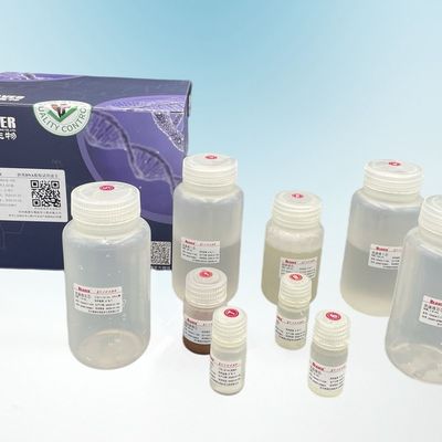 مجموعة استخلاص DNA المتداول من Beaver Beads لتشخيص ما قبل الولادة وفحص الأورام