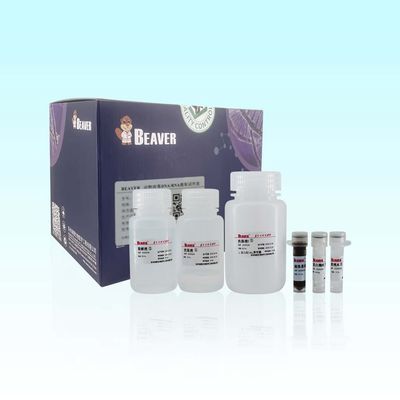 96 Rxns BeaverBeads طقم الحمض النووي الريبي الفيروسي للحيوانات المملوءة مسبقًا لعينات معقدة متعددة