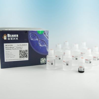 BEAVER GST البروتينات المطهرة بالاندماج GSH الحبات المغناطيسية البروتينات التطهير المواد الوظيفية الجديدة