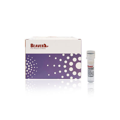 BEAVER GST البروتينات المطهرة بالاندماج GSH الحبات المغناطيسية البروتينات التطهير المواد الوظيفية الجديدة