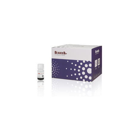 BEAVER GST البروتينات المطهرة بالاندماج GSH الحبات المغناطيسية البروتينات التطهير المواد الوظيفية الجديدة