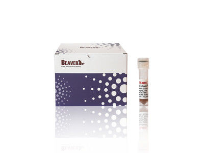 حبات البوليمر المغناطيسية ذات المستوى المناعي، بحجم 1μm 5mL