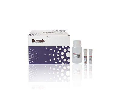 مجموعة DNA للنباتات BeaverBeads لاستخراج سريع وفعال في البحث العلمي