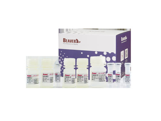 اختبار بيئة مجموعة استخراج حمض نووي من مياه الصرف الصحي BeaverBeadsTM