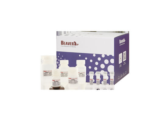 القندس TM DNA / RNA دم استخراج حمض نووي حبات مغناطيسية مجموعات استخراج الجينوم استخراج RNA مجموعة الجينوم