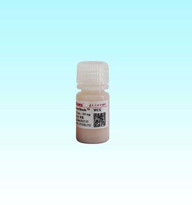 15-50μm مركز البوليمر WCX الكتل المغناطيسية مع Fe3O4 المركز المغناطيسي ومساحة سطحية محددة عالية من 700-850 M2/g