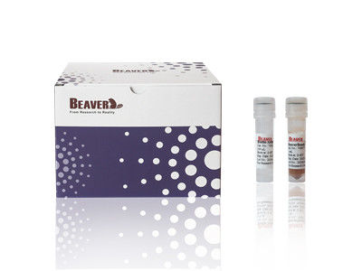 مجموعة عزل الخلايا CD4 للفأر BeaverBeads معتمدة من قبل CE للبحوث المعملية