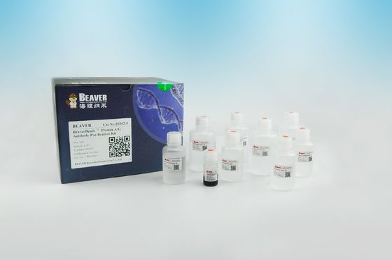 2μm 30 mg / ml 25 ml Protein A / G Antibody Purification Kit لتنقية البروتين