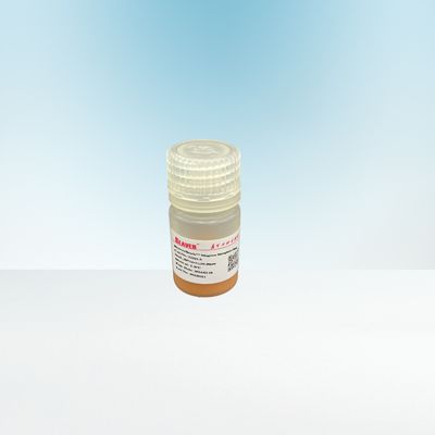 10-30 ميكرومتر Agrose Streptavidin Magnetic Beads 20٪ Biotinylated IgG 5 ml